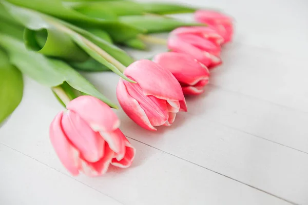 Spring Love Romance Tulip — Stock Photo, Image