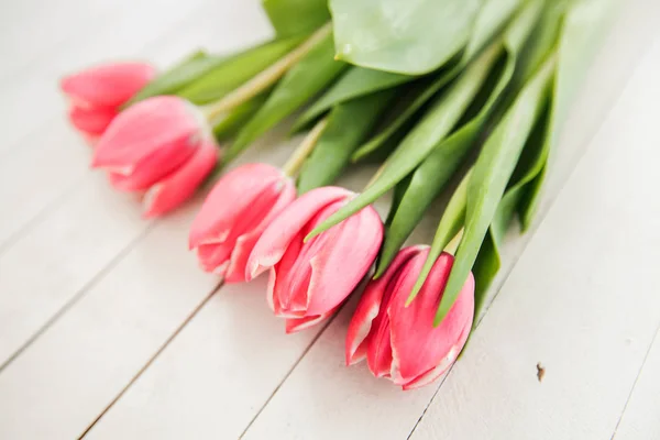 Spring Love Romance Tulip — Stock Photo, Image