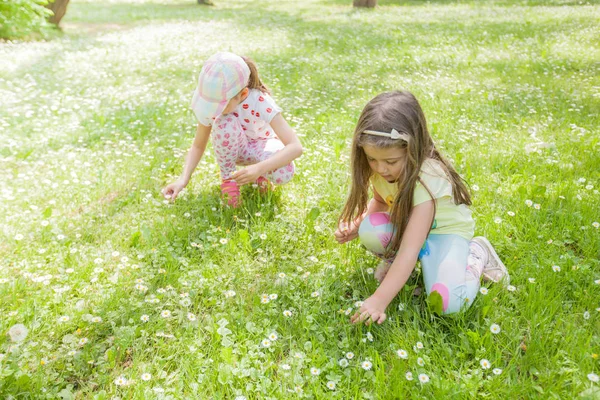 Dwa Urocze Małe Siostry Grając Przyrodzie Meadow Kwiat Piękny Dzień — Zdjęcie stockowe