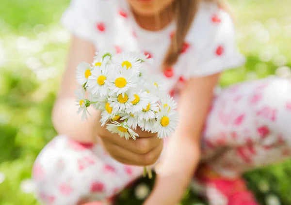 Papatya Kokulu Çiçek Çayır Güzel Bahar Günü Doğada Mutlu Küçük — Stok fotoğraf