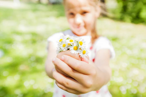 Щаслива Маленька Дівчинка Природі Ромашковим Букетом Квітковому Лузі Красивий Весняний — стокове фото