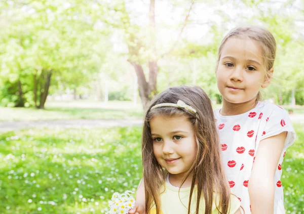 Retrato Dos Adorables Hermanitas Felices Con Flores Margarita Naturaleza Prado —  Fotos de Stock