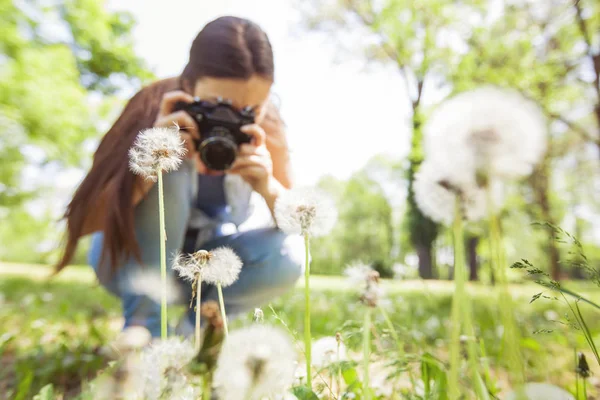 女性はレトロな古いカメラで自然を撮影 — ストック写真