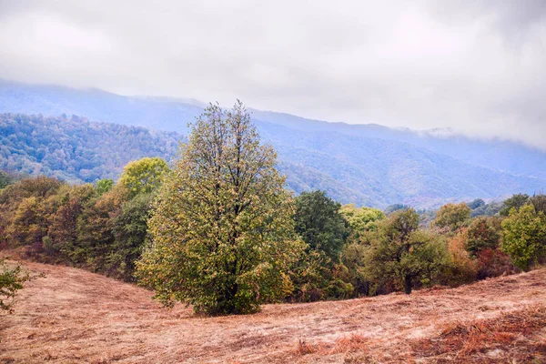 Hermosa naturaleza de otoño paisaje de montaña — Foto de Stock