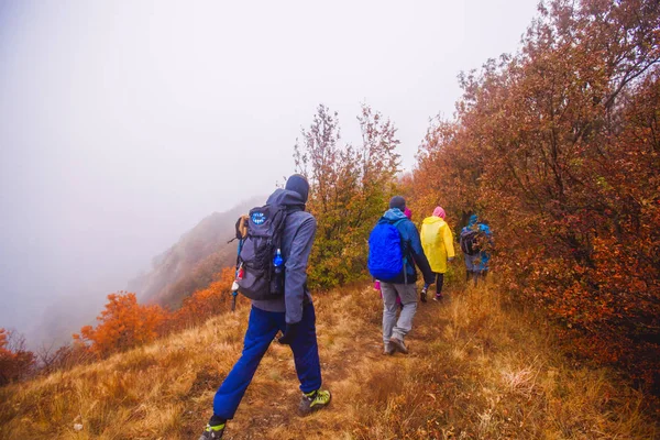 Gezonde Lifestyle Mensen Wandelen in de natuur — Stockfoto