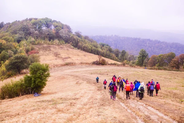 Healthy Lifestyle People Hiking In Nature