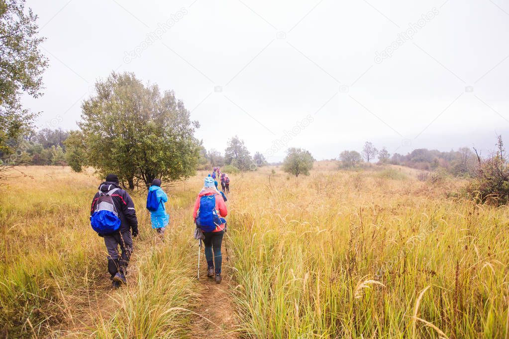 Healthy Lifestyle People Hiking In Nature