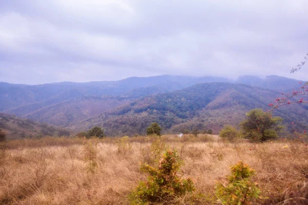 Hermosa naturaleza de otoño paisaje de montaña — Foto de Stock