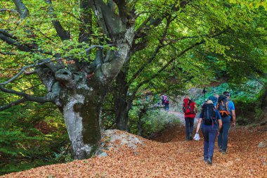 Doğada Yürüyen İnsanlar Yürüyüş Grubu 
