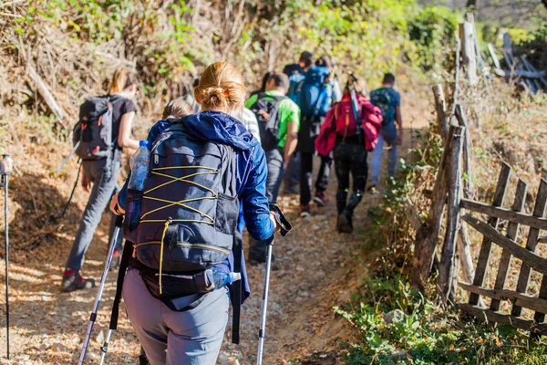 Hiking Group Of People Walking In Nature