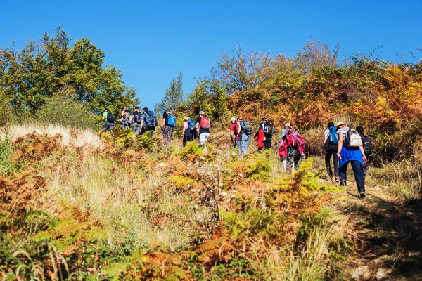 Wandelgroep van mensen die in de natuur wandelen — Stockfoto