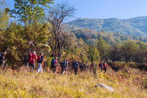 Wandelgroep van mensen die in de natuur wandelen — Stockfoto