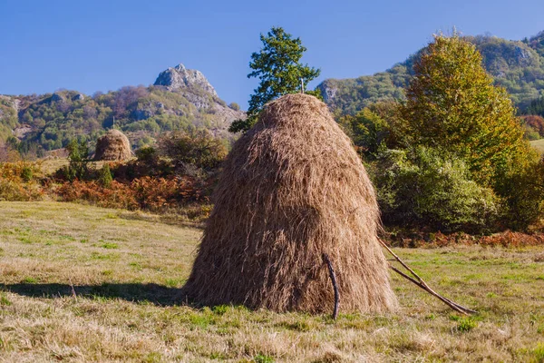 Venkovská podzim krajina — Stock fotografie