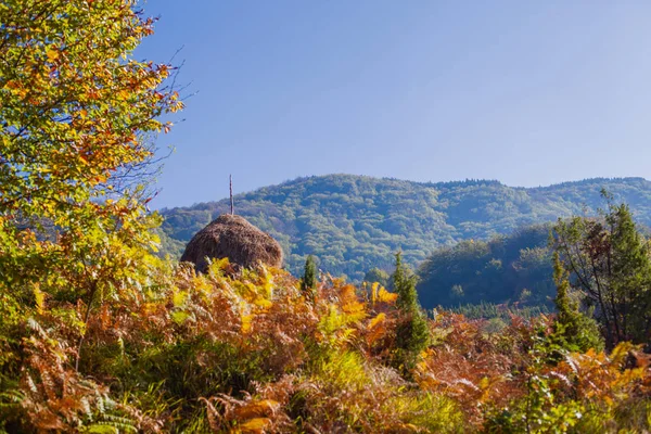 秋の風景の美しい田園風景 — ストック写真