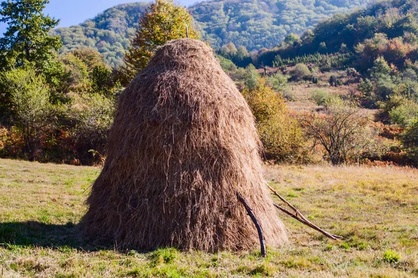 Сільської осінній краєвид — стокове фото