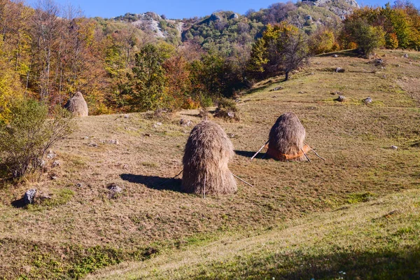 Paysage rural d'automne — Photo