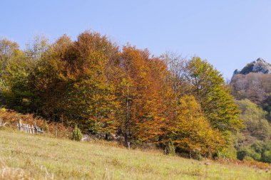 Güzel Doğa Manzarası