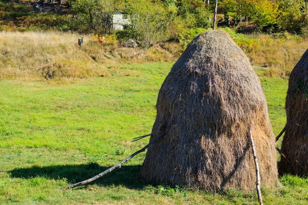 Paesaggio rurale autunno — Foto Stock