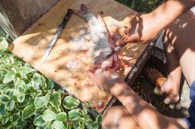 Tatlı su balıklarını temizleyen balıkçı.