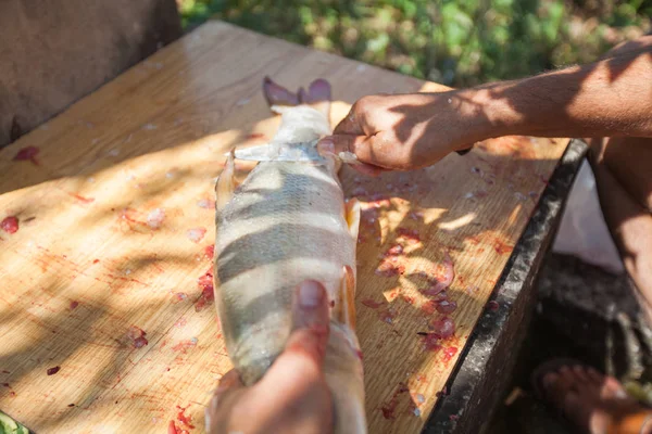 Fisherman cleaning freshwater fish