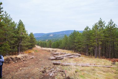  Doğal Dağ Manzarası Panoramik Görünümü