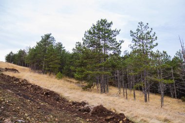  Doğal Dağ Manzarası Panoramik Görünümü