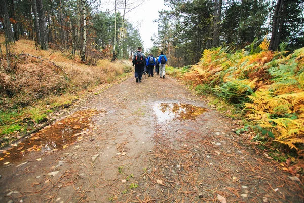 Wandelgroep van mensen die in de natuur wandelen — Stockfoto