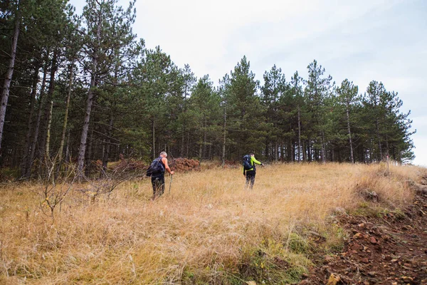 Wandelen Mensen Wandelen in de natuur — Stockfoto