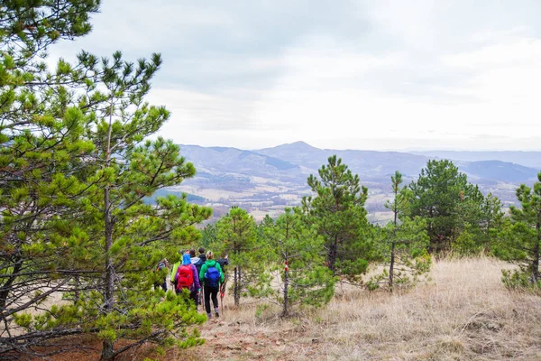 Grupo de Caminhadas de Pessoas Caminhando na Natureza — Fotografia de Stock