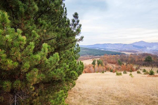 Vista panorâmica da paisagem natural da montanha — Fotografia de Stock