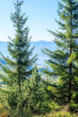 Güzel Doğa Manzarası