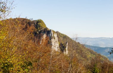 Güzel Doğa Manzarası