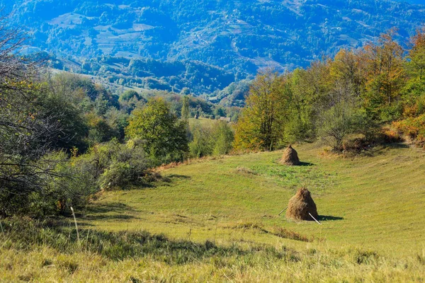 Landelijk herfstlandschap — Stockfoto