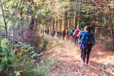 Doğada Yürüyen İnsanlar Yürüyüş Grubu 