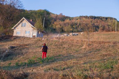 Gün batımında sonbahar kırsal manzara