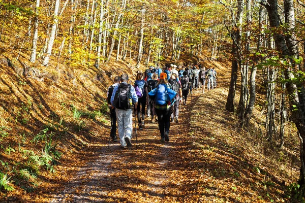 Wandelgroep van mensen die in de natuur wandelen — Stockfoto