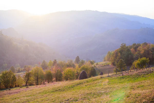 Schöne Naturlandschaft — Stockfoto