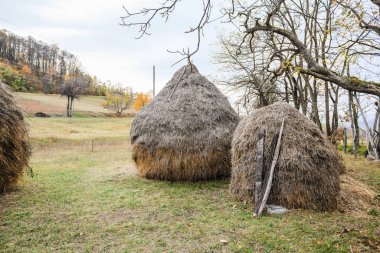 Kırsal sonbahar manzarası