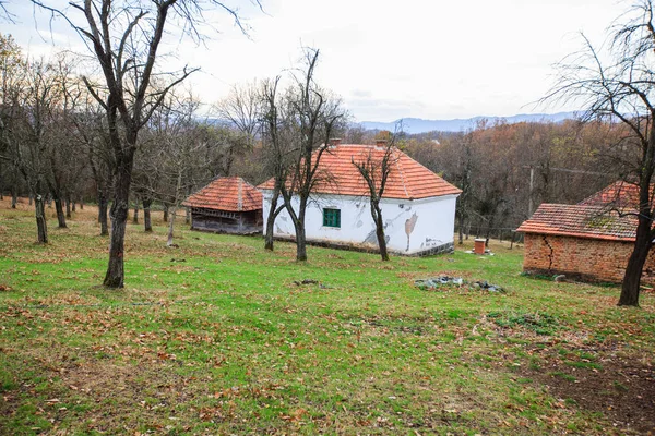 Kırsal Köy Manzarası — Stok fotoğraf