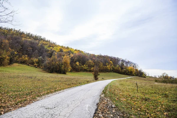 Camino de tierra rural naturaleza paisaje — Foto de Stock