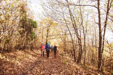 Doğada Yürüyen İnsanlar Yürüyüş Grubu 