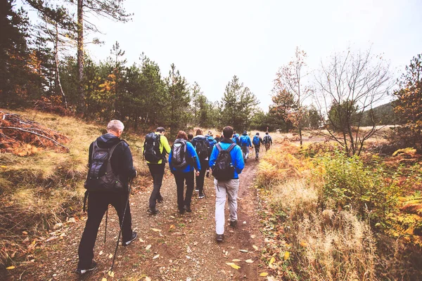 Hiking Group Of People Walking In Nature