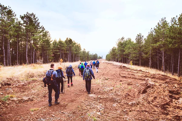 Hiking Group Of People Walking In Nature