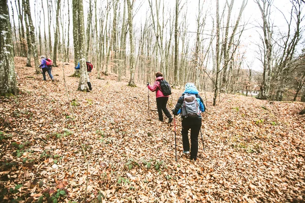 Personas activas trekking en el bosque — Foto de Stock