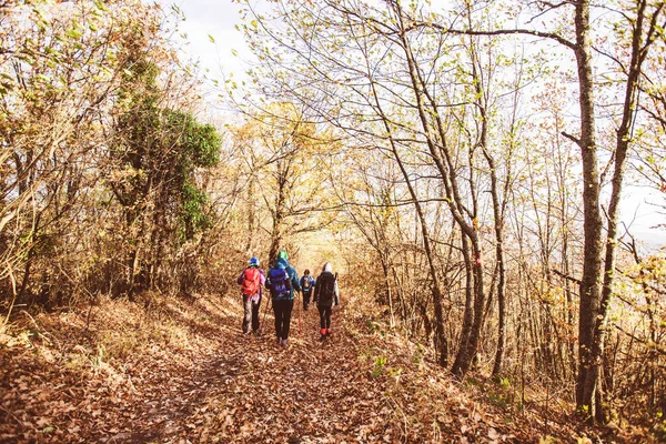 Hiking Group of People Walking In Nature — стоковое фото