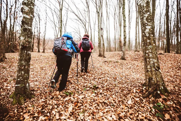 Active people trekking in the forest — 스톡 사진