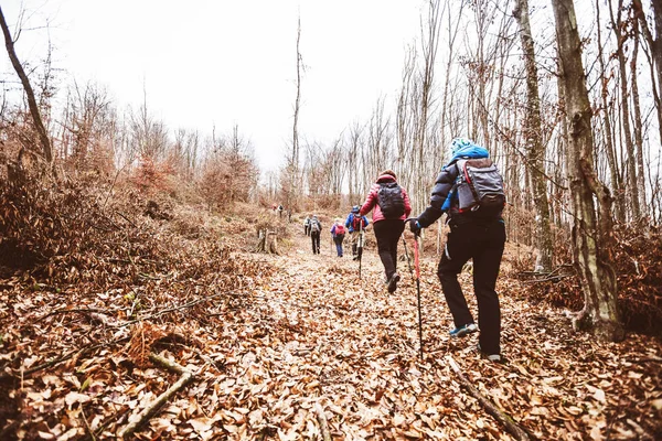 Aktive beim Trekking im Wald — Stockfoto