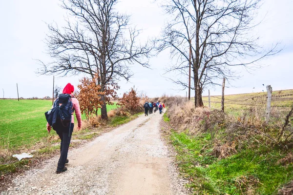 Wandelgroep van mensen die in de natuur wandelen — Stockfoto