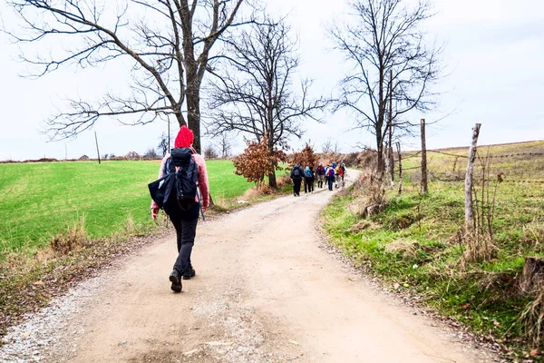 Hiking Group Of People Walking In Nature