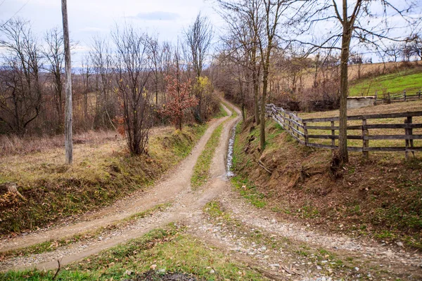 Camino de tierra rural naturaleza paisaje — Foto de Stock